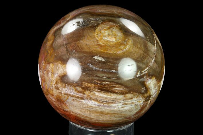 Colorful Petrified Wood Sphere - Madagascar #135657